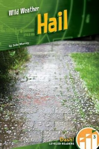 Cover of Hail