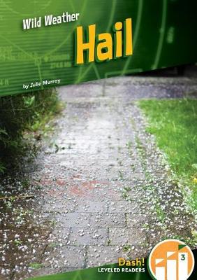 Book cover for Hail