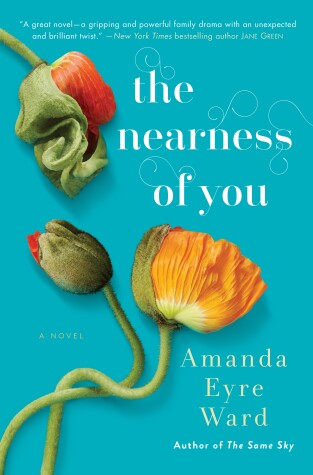 Book cover for The Nearness of You