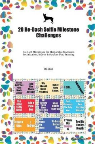 Cover of 20 Bo-Dach Selfie Milestone Challenges