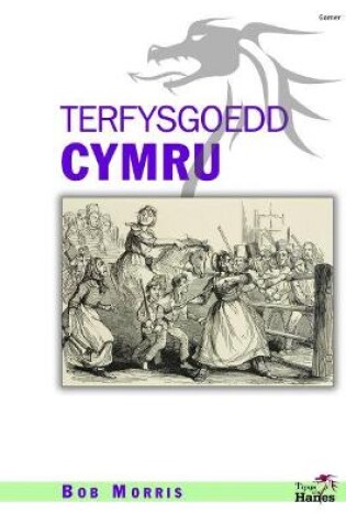 Cover of Tipyn O'n Hanes: Terfysgoedd Cymru