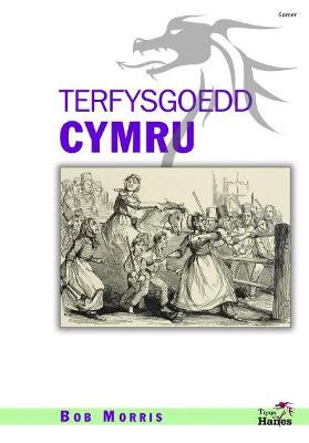 Book cover for Tipyn O'n Hanes: Terfysgoedd Cymru