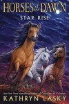 Book cover for Star Rise