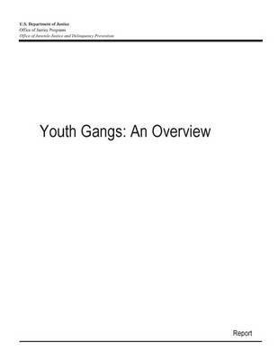 Book cover for Youth Gangs