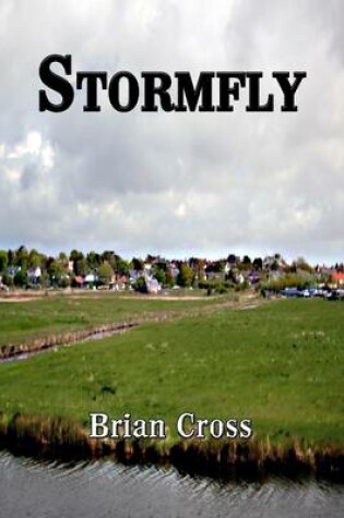 Cover of Stormfly