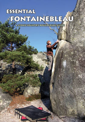 Book cover for Essential Fontainebleau