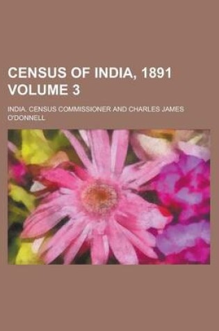 Cover of Census of India, 1891 Volume 3