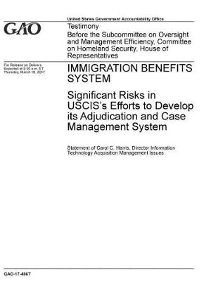 Book cover for Immigration Benefits System