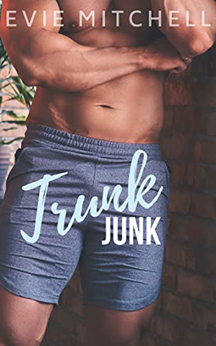 Book cover for Trunk Junk