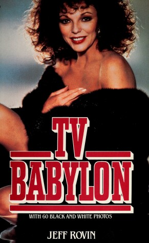 Book cover for TV Babylon