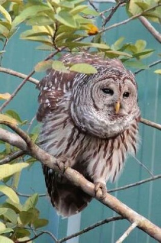 Cover of Curious Owl in a Tree Bird Journal