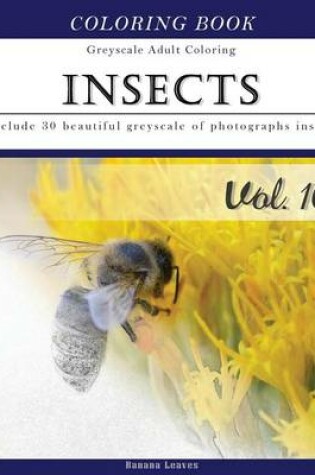 Cover of Insects World
