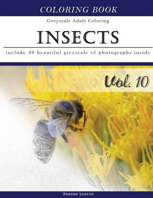 Book cover for Insects World