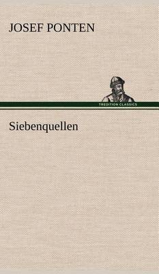 Book cover for Siebenquellen