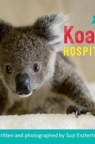 Cover of Koala Hospital