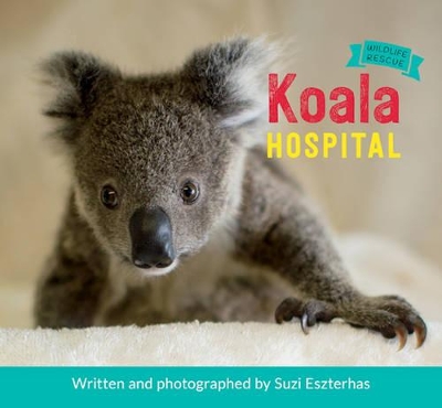 Book cover for Koala Hospital