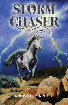 Book cover for Storm Chaser