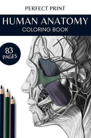 Cover of Human Anatomy Coloring Book