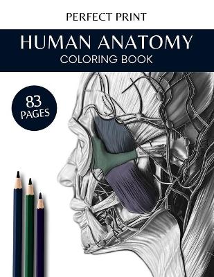 Book cover for Human Anatomy Coloring Book