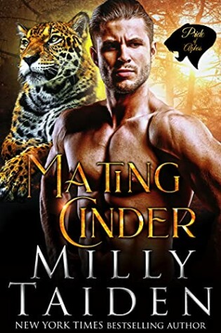 Cover of Mating Cinder
