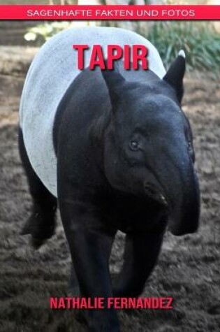 Cover of Tapir