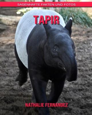 Book cover for Tapir