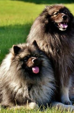 Cover of A Pair of Long Haired Keeshond Dogs Journal