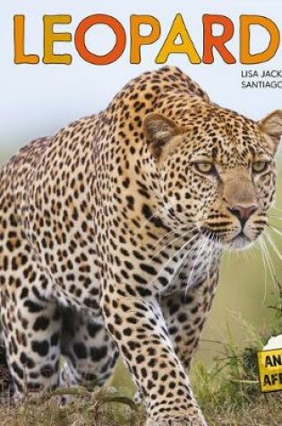 Cover of Leopardo