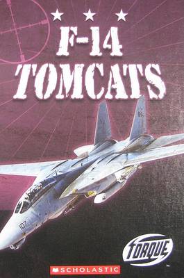 Book cover for F-14 Tomcats