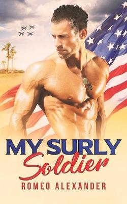 Book cover for My Surly Soldier