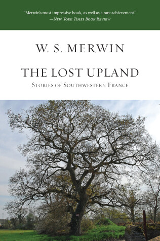 Book cover for The Lost Upland