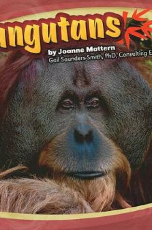 Cover of Orangutans (Asian Animals)