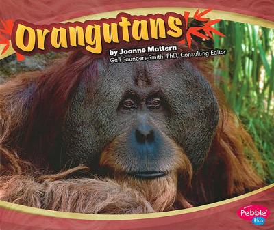 Book cover for Orangutans (Asian Animals)