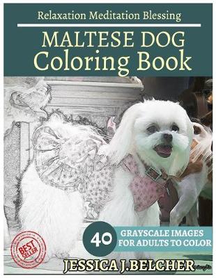 Book cover for Maltese Dog Coloring Book for Adults Relaxation Meditation Blessing