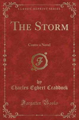 Book cover for The Storm