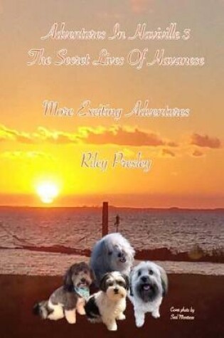 Cover of Adventures in Haviville 3 the Secret Lives of Havanese