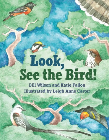 Book cover for Look, See the Bird!