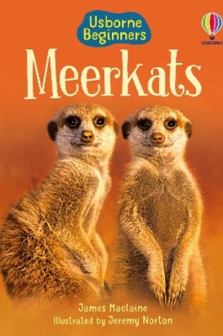 Cover of Meerkats