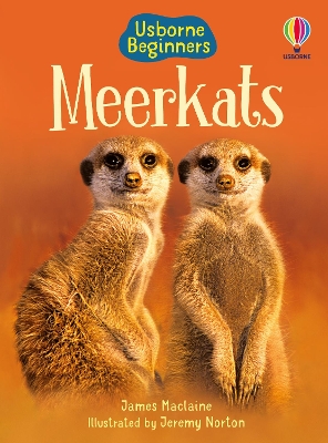 Book cover for Meerkats