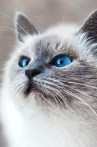 Cover of Curious Blue Eyed Fluffy Siamese Cat