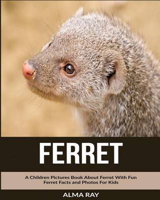 Book cover for Ferret