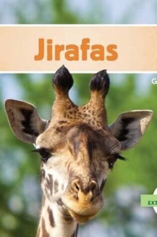 Cover of Jirafas (Giraffes) (Spanish Version)