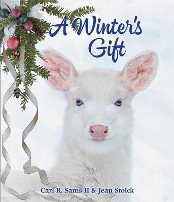 Book cover for A Winter's Gift