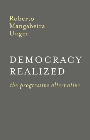 Book cover for Democracy Realized