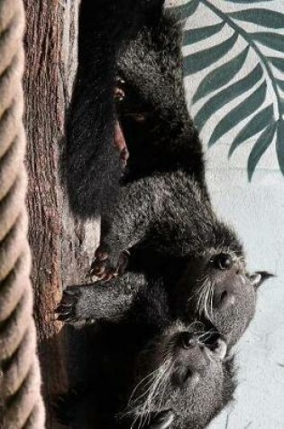 Cover of Binturong Bearcat Couple Relaxing Journal