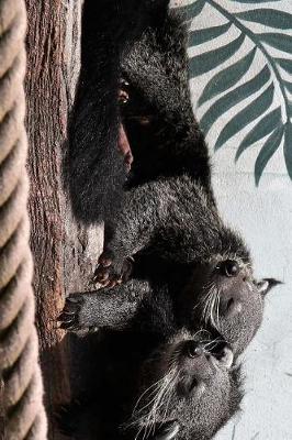 Book cover for Binturong Bearcat Couple Relaxing Journal