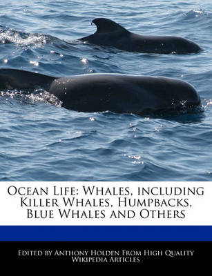 Book cover for Ocean Life