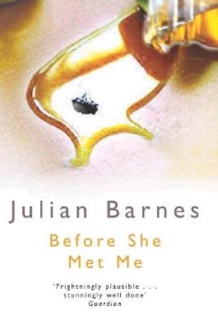 Cover of Before She Met Me