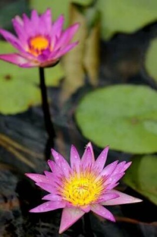 Cover of Spiritual Lotus Flowers On The Pond Surface