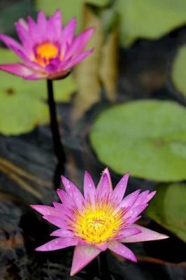 Book cover for Spiritual Lotus Flowers On The Pond Surface